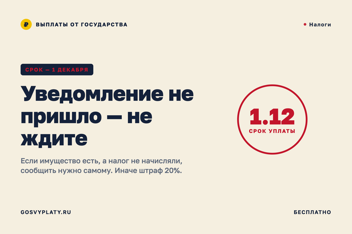 Не пришло налоговое уведомление? До 1 декабря это ваша забота